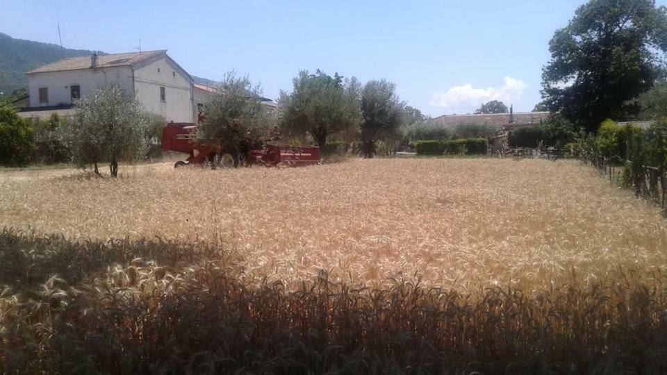 Agriturismo Tre Santi Villa Падула Екстериор снимка
